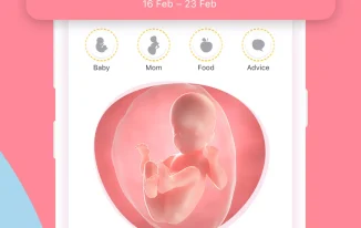 TOP 10 App theo dõi em bé trong bụng, thai nhi trên iphone