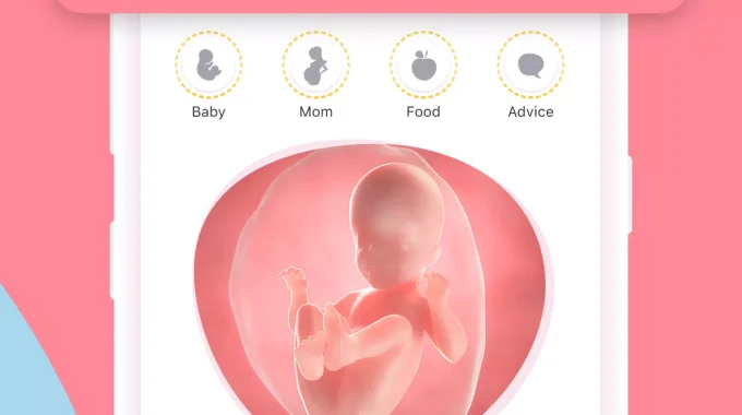TOP 10 App theo dõi em bé trong bụng, thai nhi trên iphone